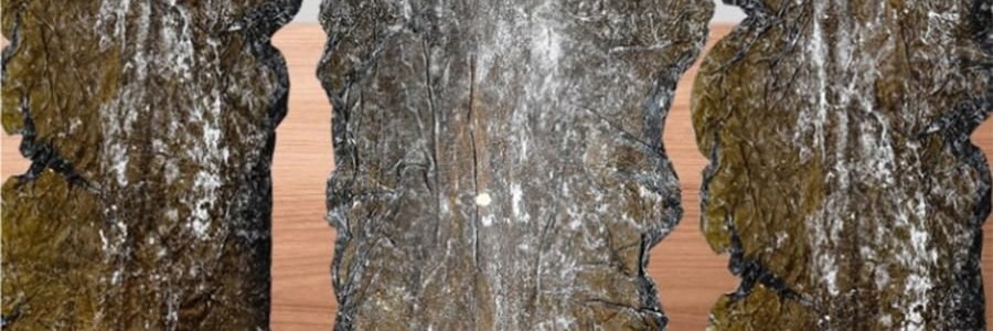 時樸 有機海帶 500g【煲湯火鍋食材】