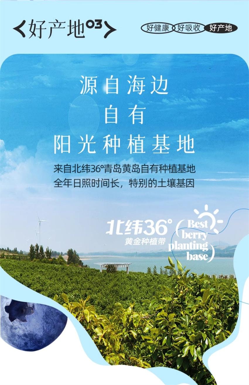 【中國直郵】 莓日飲 100%藍莓原汁 NFC藍莓汁花青素果汁非濃縮原漿飲料 30ml*10袋/盒