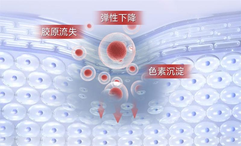 【中国直邮】 五个女博士 虾青素凝胶糖果 12mg虾青素胶囊口服雨生红球藻进口白番茄  30粒/瓶