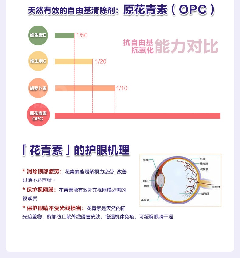 【日本直邮】 FANCL 芳珂 蓝莓护眼丸 60粒30日量 精华片