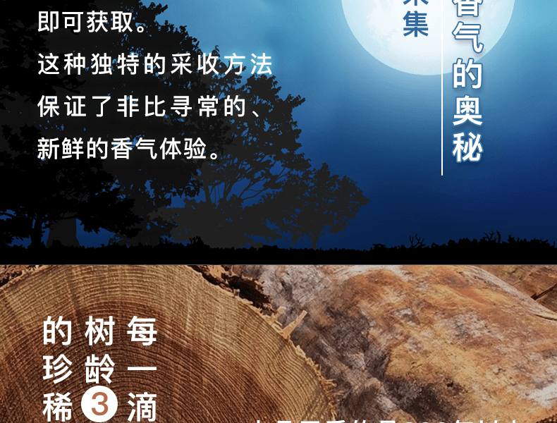 日本晓喜美人 小富士之露 - 桧木香氛套装 檜木精油×1瓶+香薰器×2个