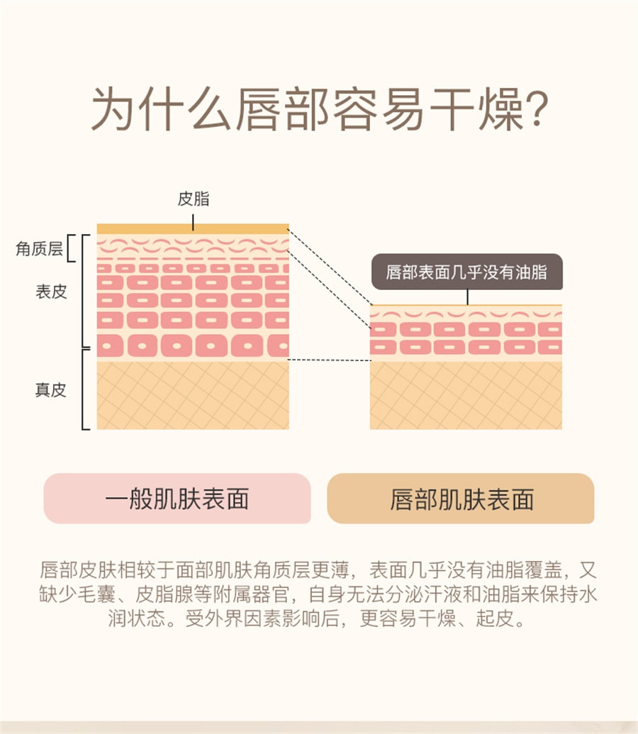 【中国直邮】诗佩妮 唇部护理精华啫喱 润唇膏女滋润淡化唇纹唇霜唇膜 口红打底 15g/支