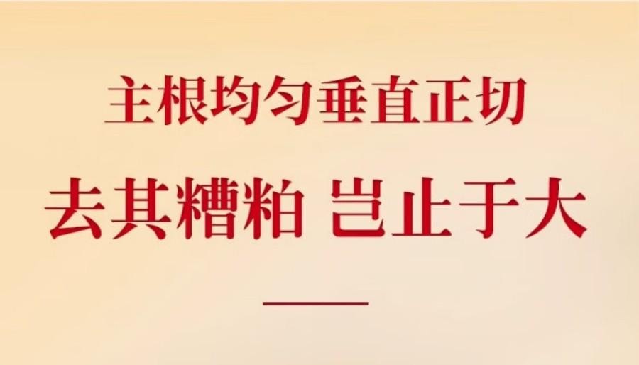 【中国直邮】 童涵春堂 加拿大西洋参滋阴养生直径2-3cm袋装(3g*30袋)*2盒