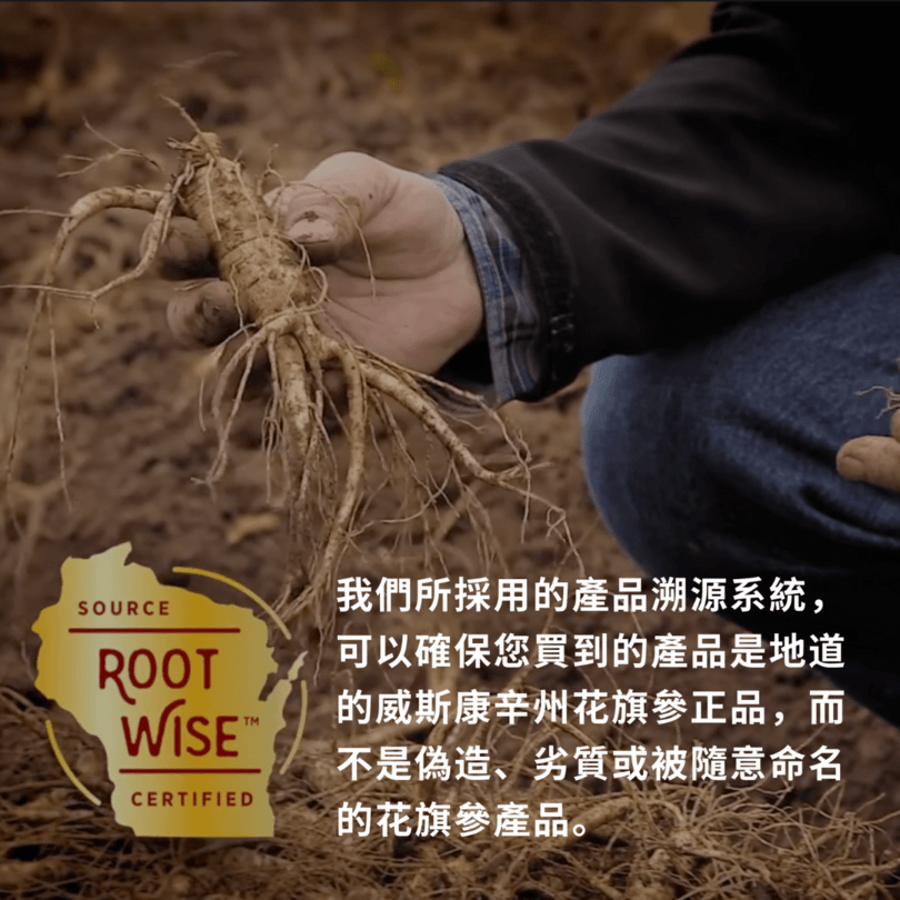 Baumann顶级花旗参茶包20袋装、抗衰老、预防流感、增强免疫力、100% 天然人参不含食品添加剂