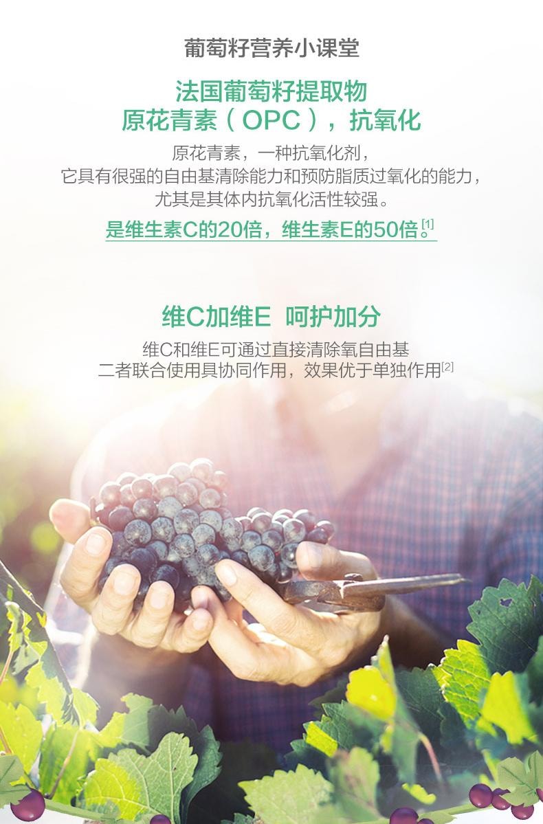 【中國直郵】 湯臣倍健 葡萄籽維生素C+E片維生素ce片原花青素抗氧化OPC萃取物正品90粒/瓶(推薦2盒起)