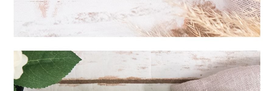 台灣老楊 榴槤餅 100g