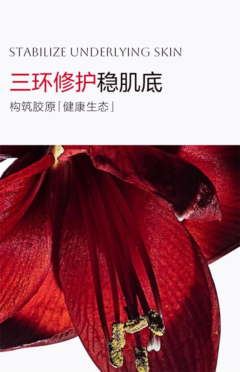 【中国直邮】 丸美 二代胶原小金针次抛精华液紧致抗皱淡化细纹补水 30支/盒