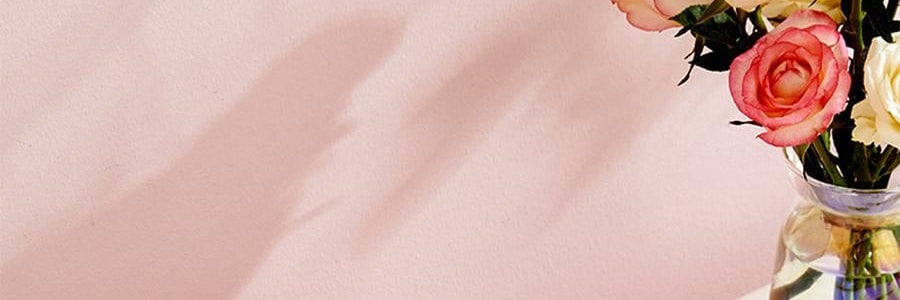 川島屋 melody雙層便當盒 便攜餐盒 18.8*10*11cm 【三麗鷗聯名】