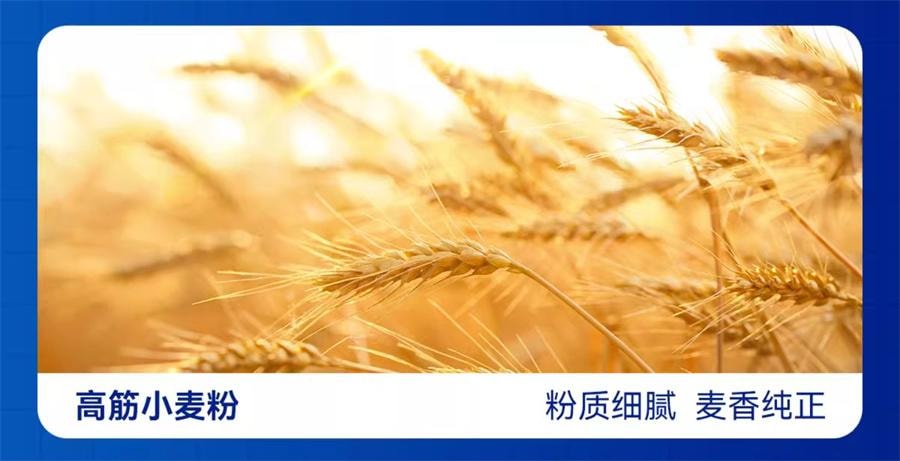 【中國直郵】 豪士 藜麥吐司全麥麵包 健康早餐 420g/箱
