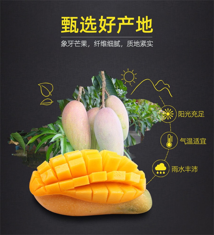 【中国直邮】一果倾城 芒果干网红零食小吃水果干芒果条果脯108g/袋