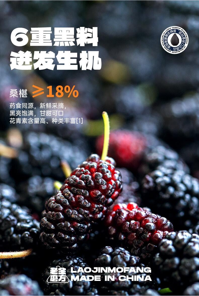 老金磨方 桑椹五黑茶100g