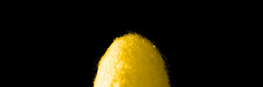 韩国JM SOLUTION肌司研 乳酸酵母黄金大米面膜 10片入 营养保湿 提亮肤色 紧致毛孔