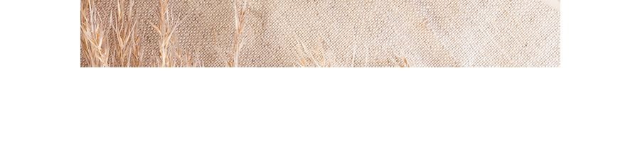 泰國LITTLE FARM小當家 烤麵包乾 蒜香 100g