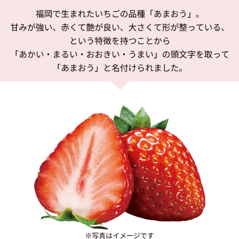 [Livraison directe du Japon] NESTLE KIT KAT édition régionale Kyushu fraise chocolat gaufrette 10 pièces