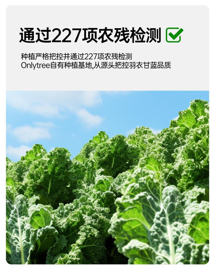 【中國直郵】 onlytree 奇亞籽羽衣甘藍粉 青汁凍乾膳食纖維蔬菜代餐粉 30g/盒