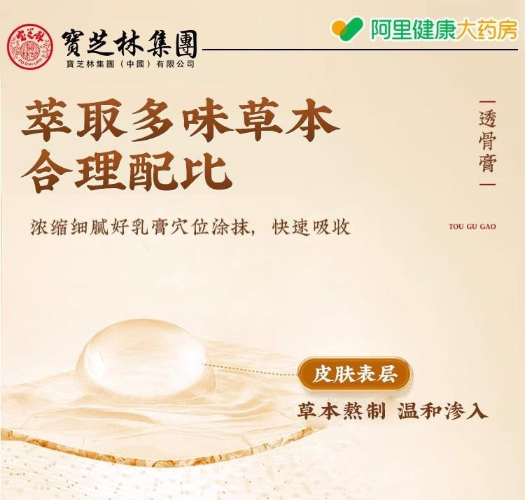 【中國直郵】 寶芝林 透骨膏 祛風除濕 舒筋通絡 消腫止痛 活血養血 舒適溫熱 全身適用 30g/盒