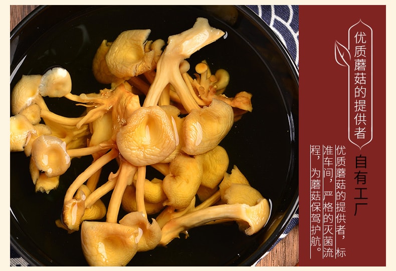 【中国直邮】插树岭东北榆黄蘑 250g 炒菜包饺子