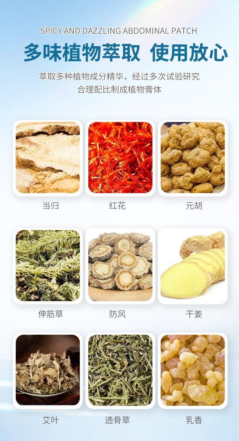 【中國直郵】 親太太 暴汗油切艾草貼艾腰貼腹部貼熱敷貼 (5貼1盒)