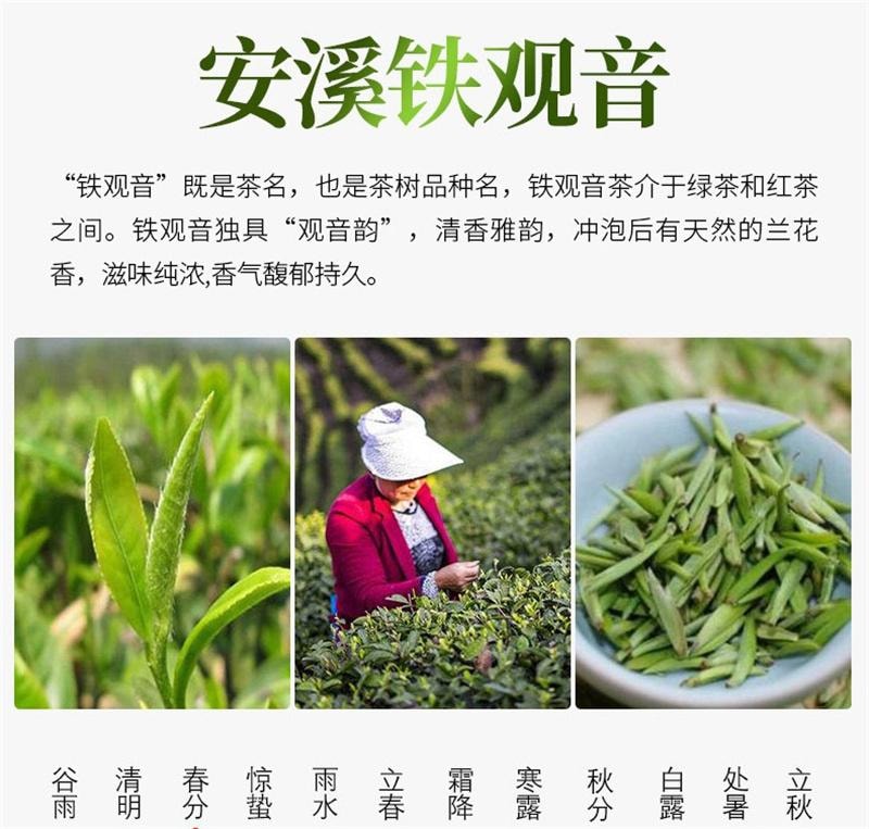 鉄觀音（蘭の香り) 中国直送】中民豊州 2024 新秋茶 鉄観音蘭の香りタイプ 安渓