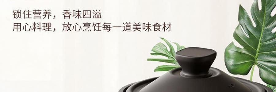 ZENO 紫砂电炖锅 多功能电砂锅电炖盅 煲汤锅炖汤锅 4L-ZSD-406U【限量送磁力搅拌咖啡杯】