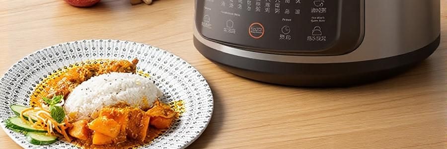 ZENO 紫砂电炖锅 多功能电砂锅电炖盅 煲汤锅炖汤锅 4L-ZSD-406U【限量送磁力搅拌咖啡杯】