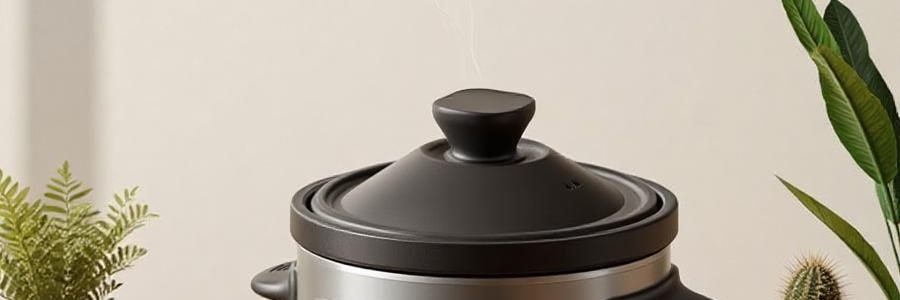 ZENO 紫砂电炖锅 多功能电砂锅电炖盅 煲汤锅炖汤锅 4L-ZSD-406U【限量送磁力搅拌咖啡杯】