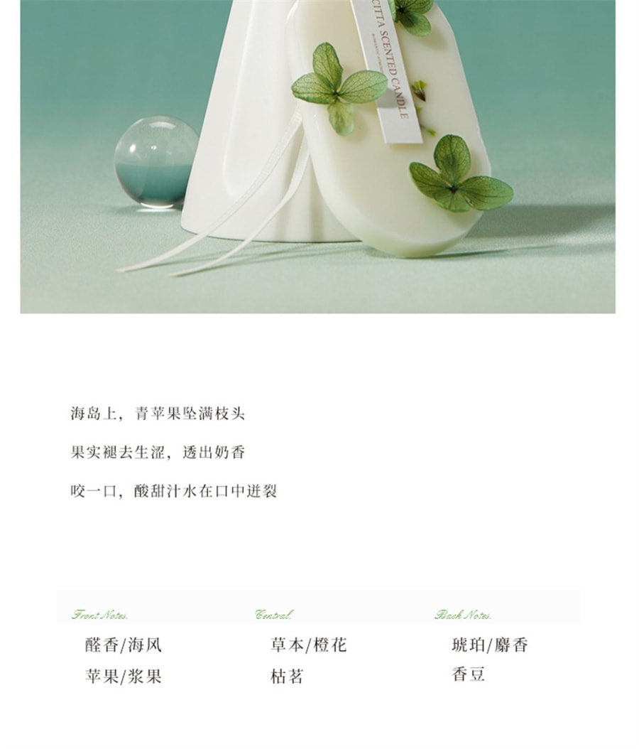 【中國直郵】CITTA西苔 香薰蠟片家用衣櫃持久清香除味掛片香氛香掛 韓粉-陽光玫瑰