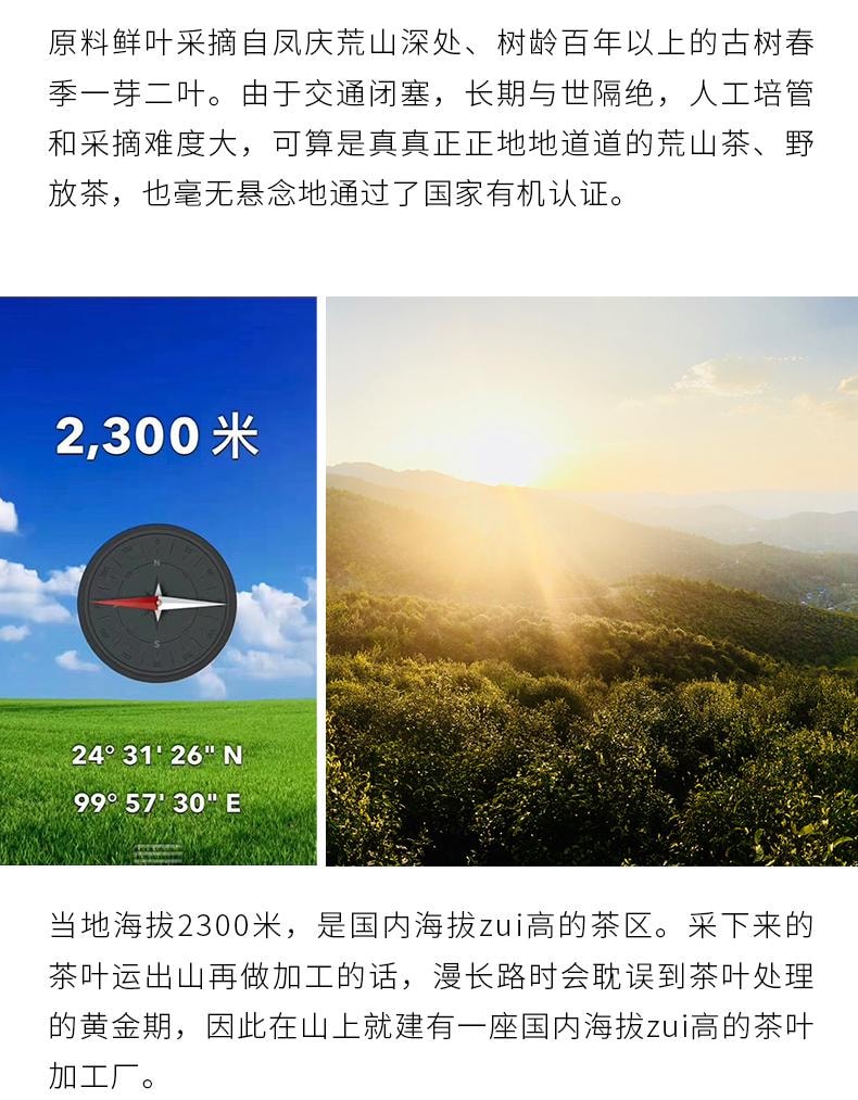 小师姐评茶 野径芳华 云南荒野白茶 2300米超高海拔茶园茶叶 传统工艺 30克