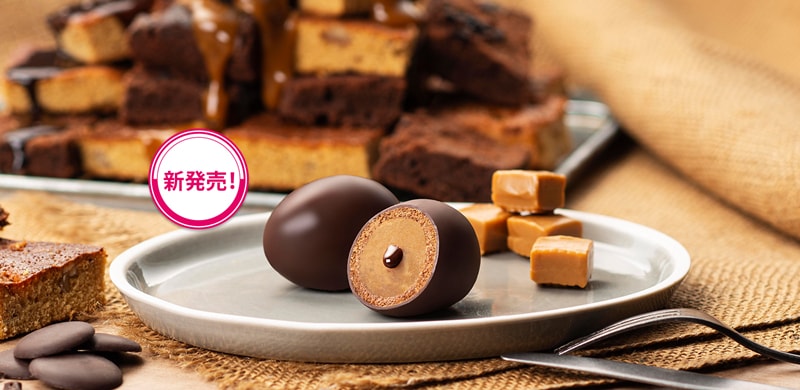 【日本直邮】DHL直邮3-5天到 日本传统老铺 银座玉屋 布朗尼口味巧克力布朗尼蛋夹心蛋糕 5个装