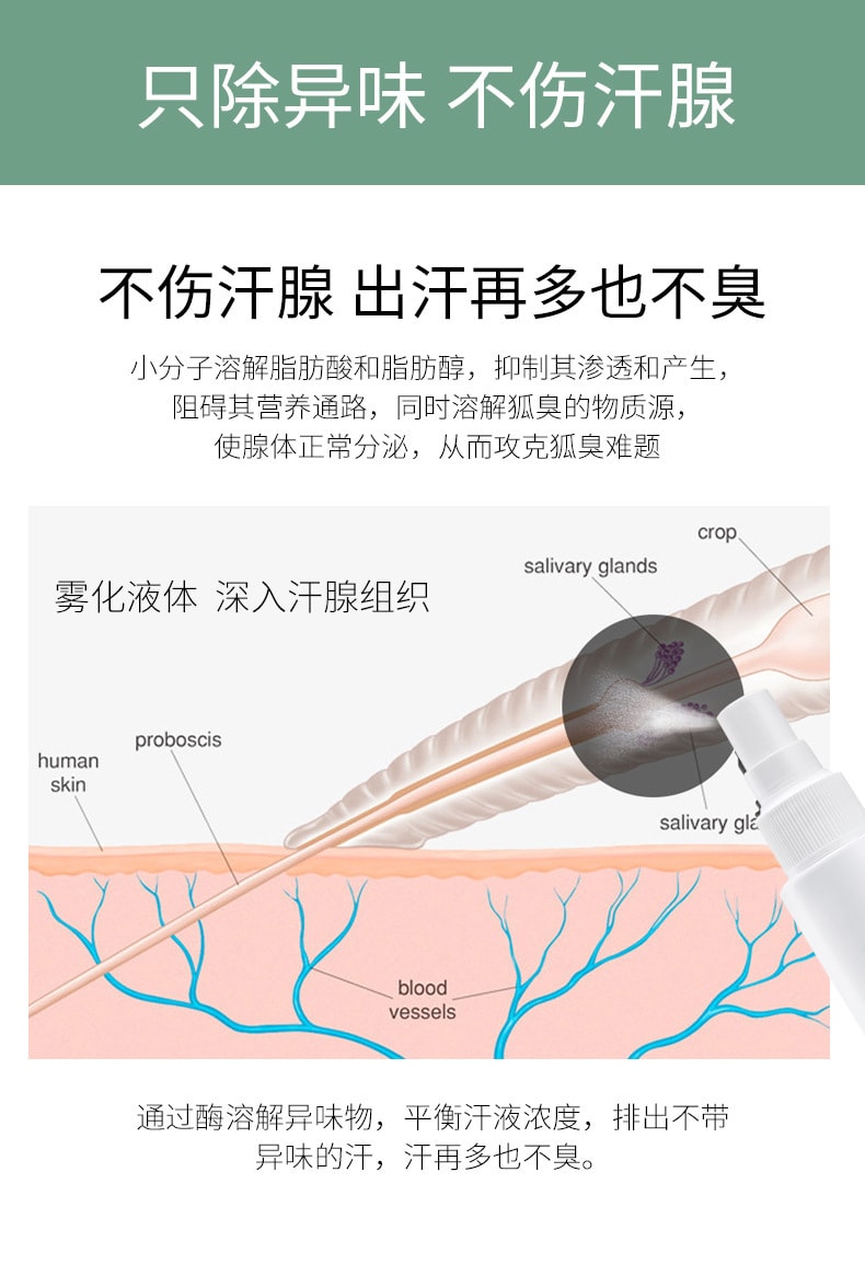 【中國直郵】德德維芙 腋狐臭淨腋下噴霧根持久香體露 30ml/瓶