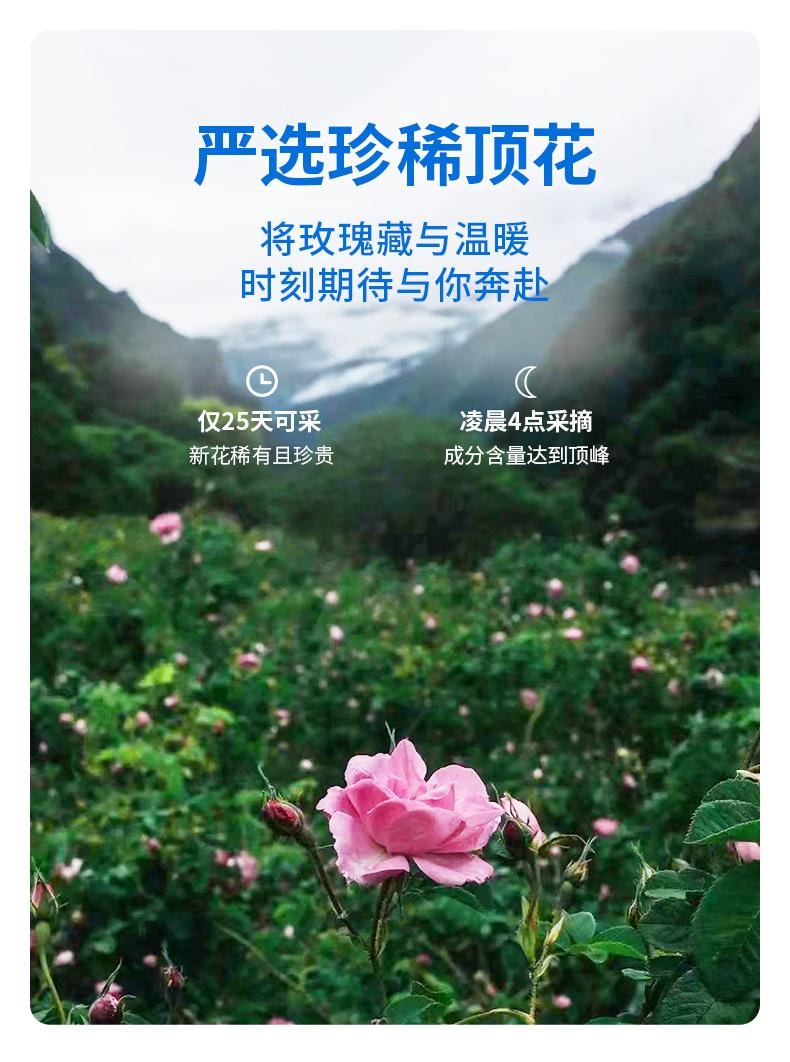 【中國直郵】 真不二 大馬士革玫瑰熱灸足貼 艾草暖腳貼暖足貼 5對/盒