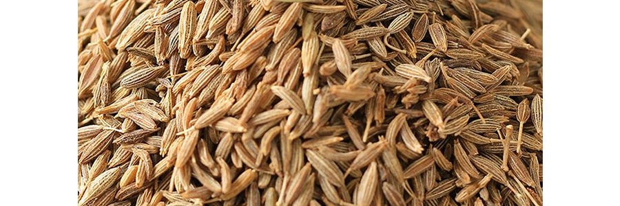 禾茵 精選孜然粉 50g 四川特產