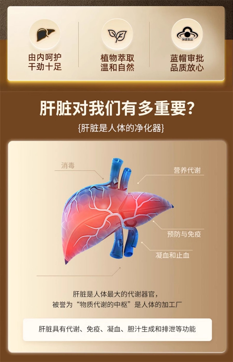 【中国直邮】仁和 甘多康护肝片养肝胶囊菊花决明子茶熬夜保健品 0.9g/片*40片