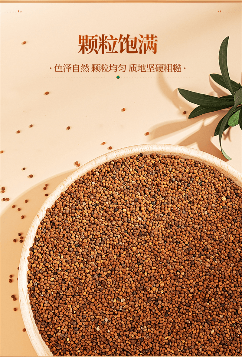 【中國直郵】 奧祥堂 菟絲子250g/盒 中藥材茶袋泡茶正品茶包