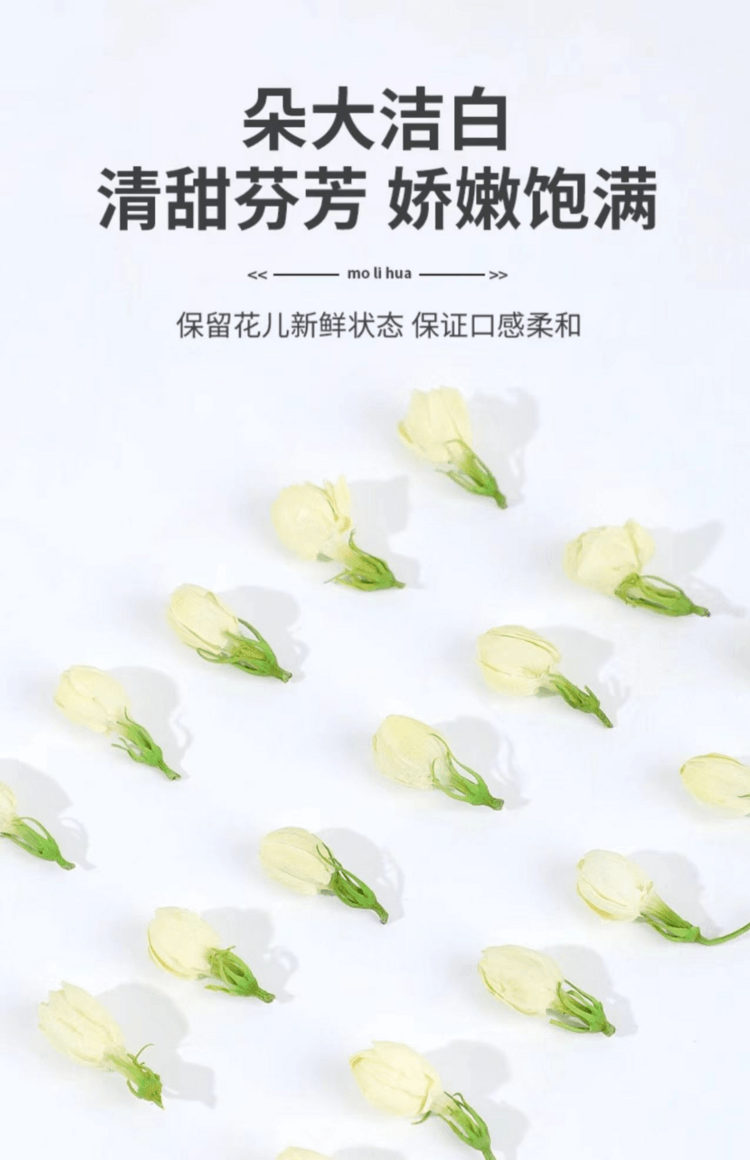  瀧禦堂 茉莉花苞 無燻硫甄選茉莉花 朵朵飽滿 色澤自然 30g