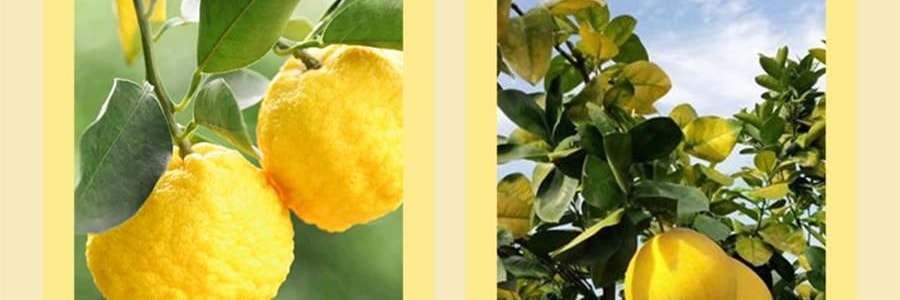 盒马 双柚乳酸菌饮料 300ml