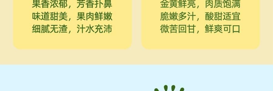 盒马 双柚乳酸菌饮料 300ml