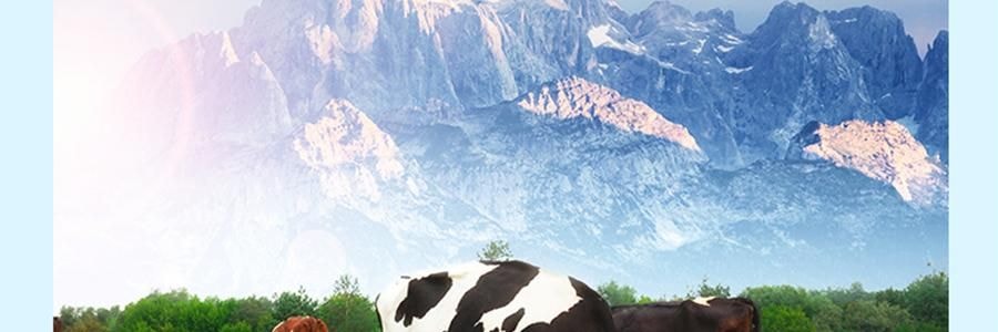 盒马 双柚乳酸菌饮料 300ml