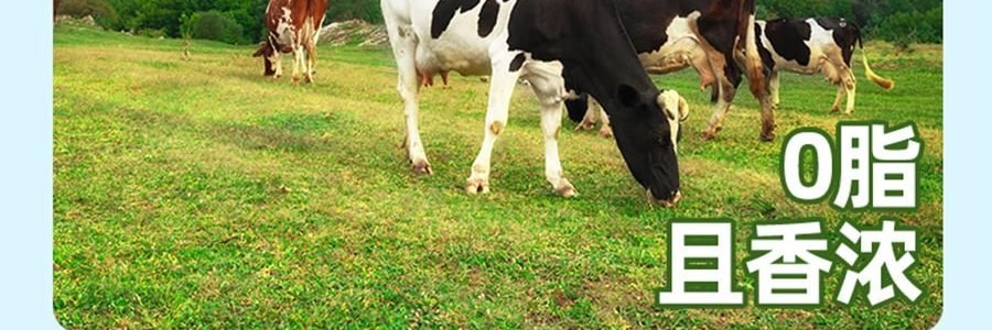 盒马 双柚乳酸菌饮料 300ml