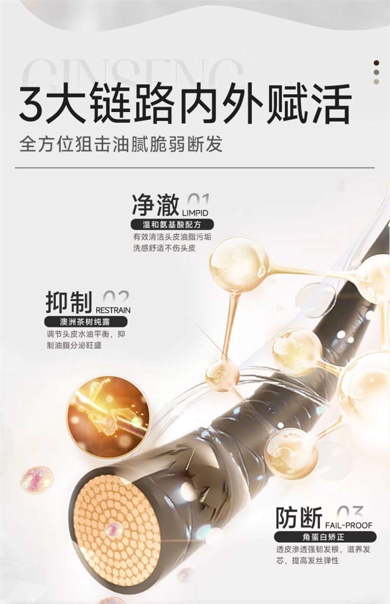 【中国直邮】弹动 8+minutes 人参茶树纯露洗发水八分钟洗头膏控油止痒蓬松 人参洗发水450ml+人参发膜260ml