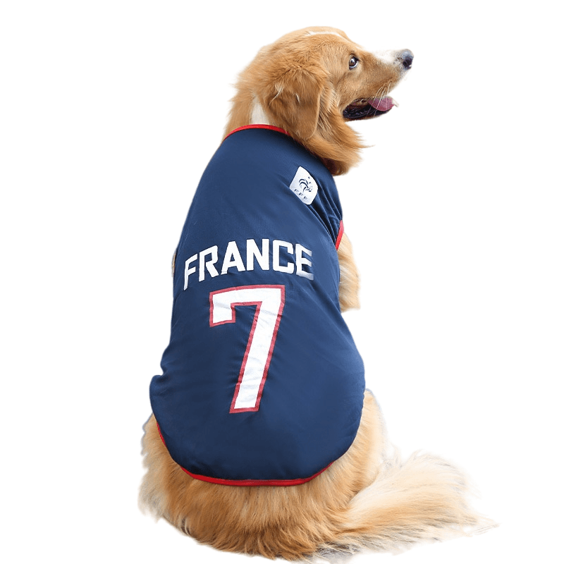 Spring summer small medium large dogs Golden Retriever Satsuma dogs cats pet mesh undershirt World Cup #France M