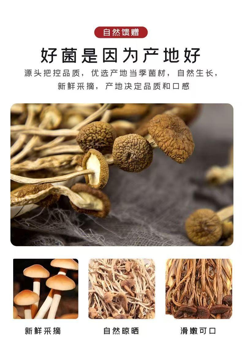  泷御堂 春节大促 茶树菇 自然晾晒 轻松泡发 鲜嫩醇香 50g