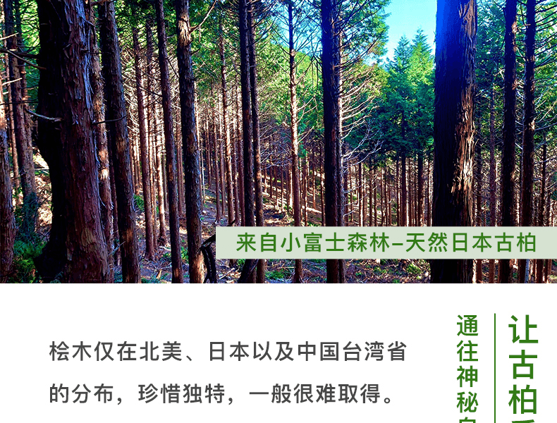 日本晓喜美人 小富士之露 - 桧木香氛套装 檜木精油×1瓶+香薰器×2个