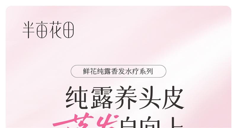 【中国直邮】 半亩花田 鲜花纯露洗发水香蓬瓶控油蓬松清洁洗护 【轻盈蓬松】洗发水500g