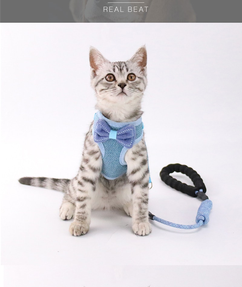 【中國直郵】尾大的喵 貓咪牽引繩 灰色 適合5-20斤貓咪 寵物用品