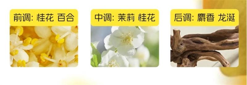 【中国直邮】  亲太太 黄胖子温和脱毛膏去全身男女腋下神器  100ml 1支