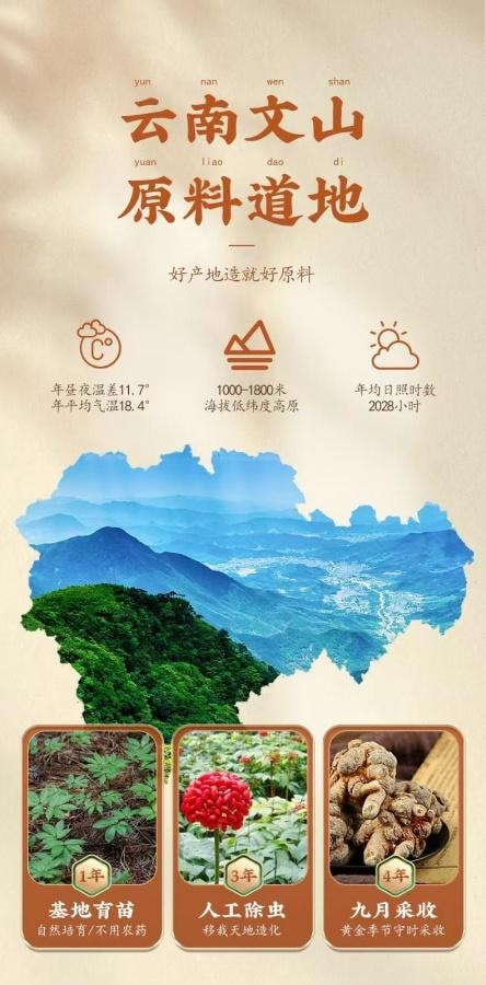  南京同仁堂 三七粉200g 1罐装 粉质细致云南文山 国货精品