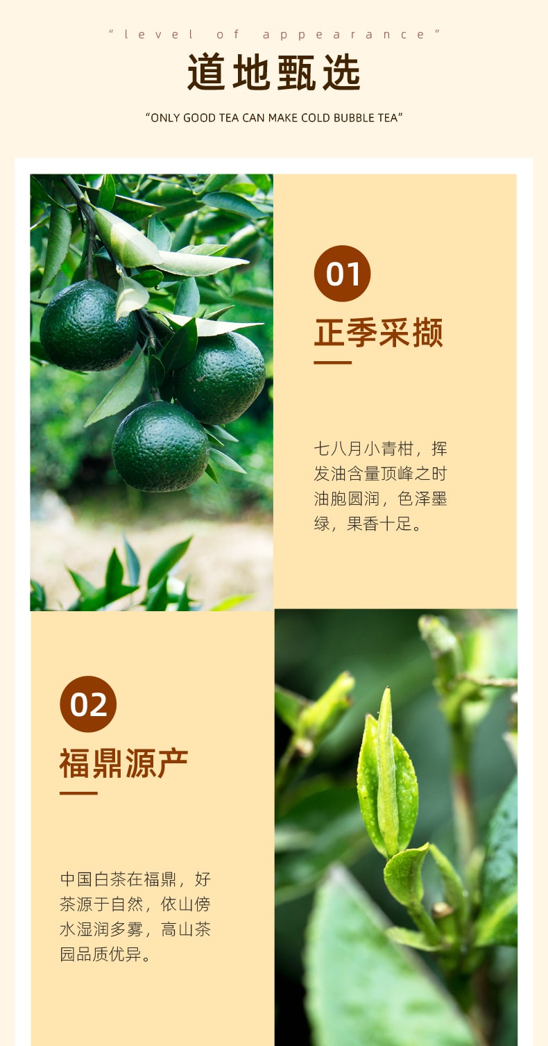 陈皮村吴村长 正宗新会 月白 小青柑白茶 袋泡茶 10袋装