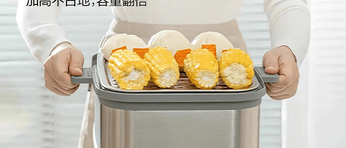 BUYDEEM北鼎 多功能蒸炖锅 隔水蒸炖锅电蒸锅 加大加高不挑餐具 14L G67 双层