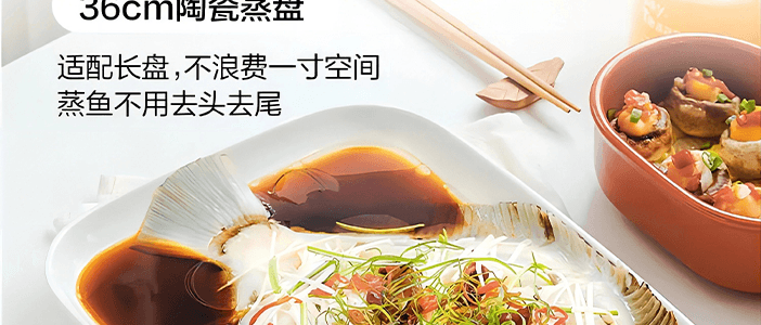 BUYDEEM北鼎 多功能蒸炖锅 隔水蒸炖锅电蒸锅 加大加高不挑餐具 14L G67 双层